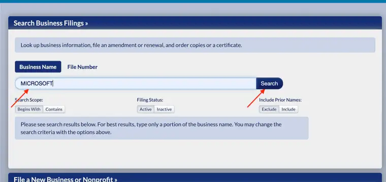 The Minnesota search box filled with MICROSOFT, with red arrows pointing to the search field, the Search button and the Include Prior Names control