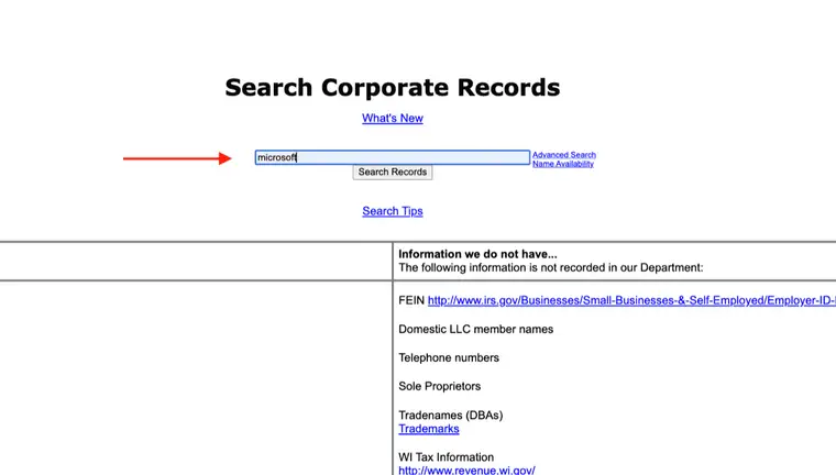 Wisconsin Search Corporate Records box with the word microsoft typed in and a Search Records button below it