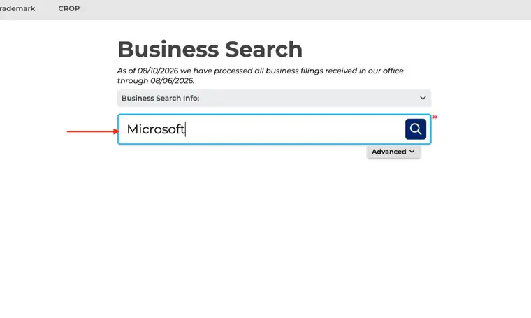 The Pennsylvania search box filled with the word Microsoft, marked with a red arrow, showing the magnifier button and the Advanced toggle below the field