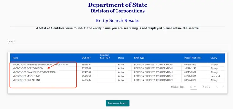 New York Entity Search Results table with Name, DOS ID number, Assumed Name ID number, Status, Entity Type, Date of First Filing and County columns, showing five of six results with a rows per page setting of five